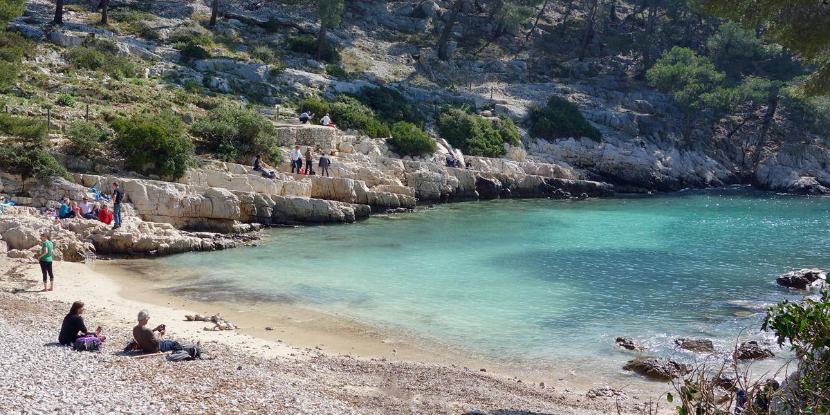 Port Pin, Calanque de Marseille Port Pin, Calanque de Marseille